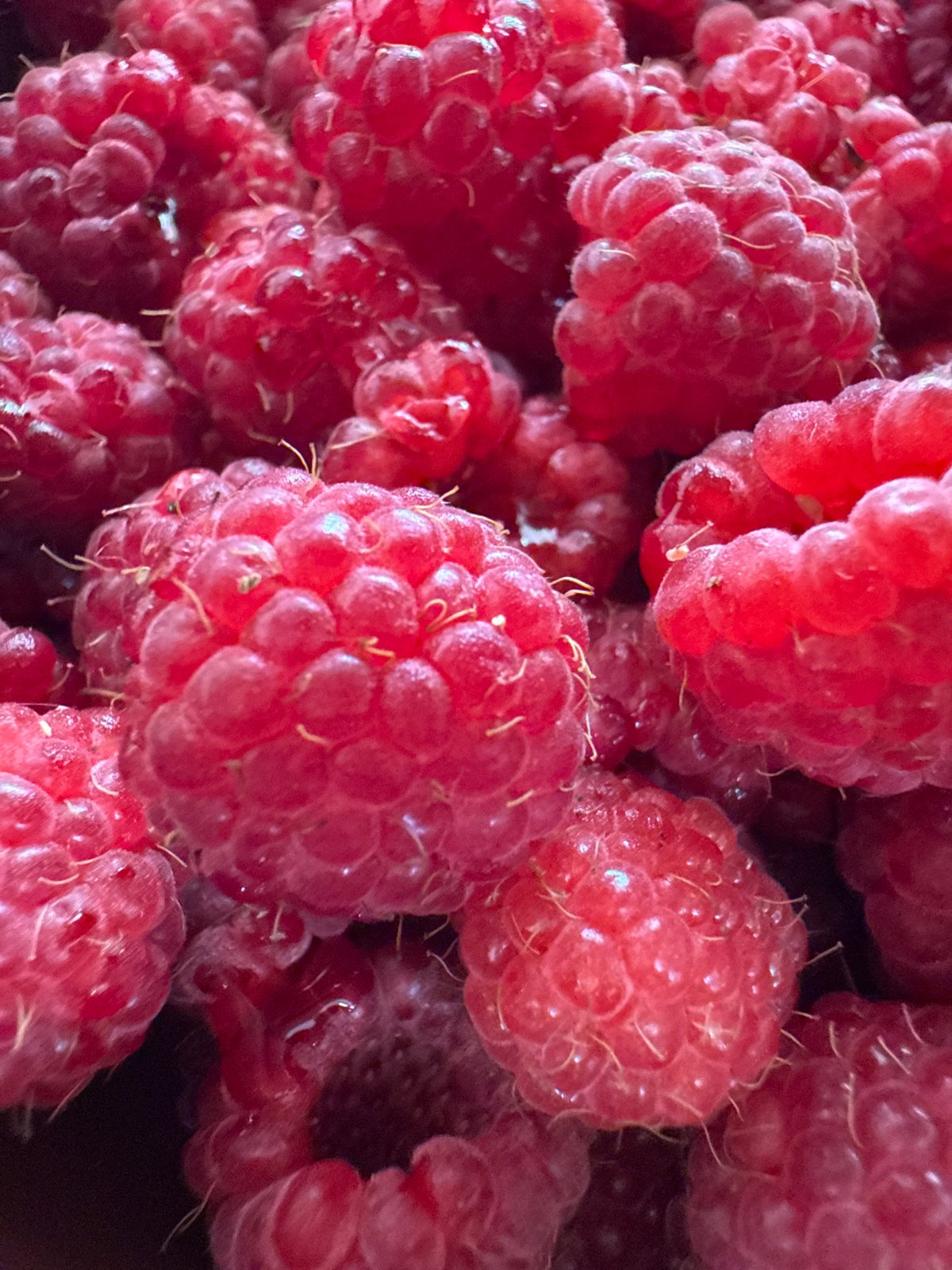 Selfies and raspberries: a casual morning in Chaikovsky