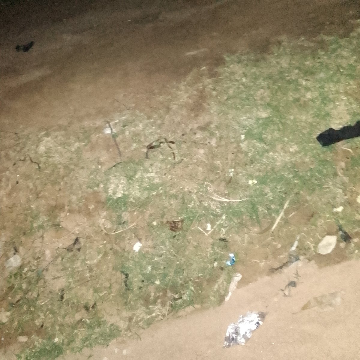 Evening tailoring workshop activities documented in Jauro Yinu, Nigeria