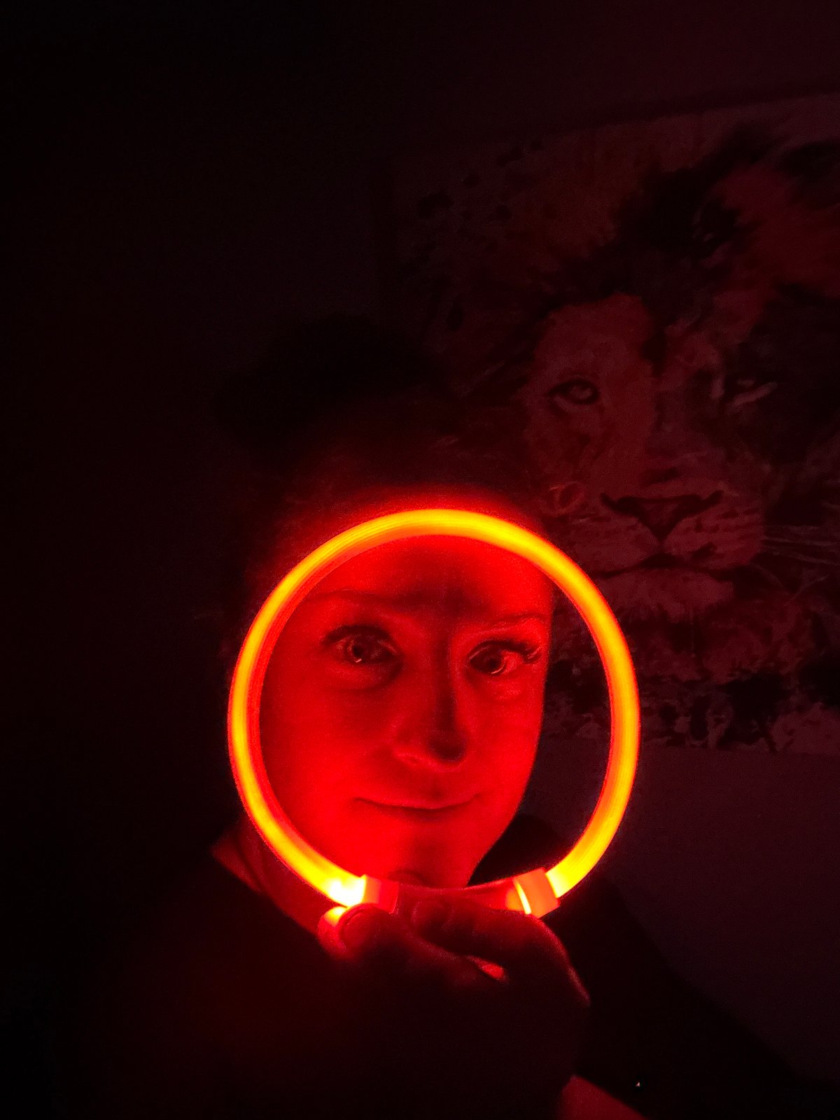 Late-night LED light experiments captured with resting dog