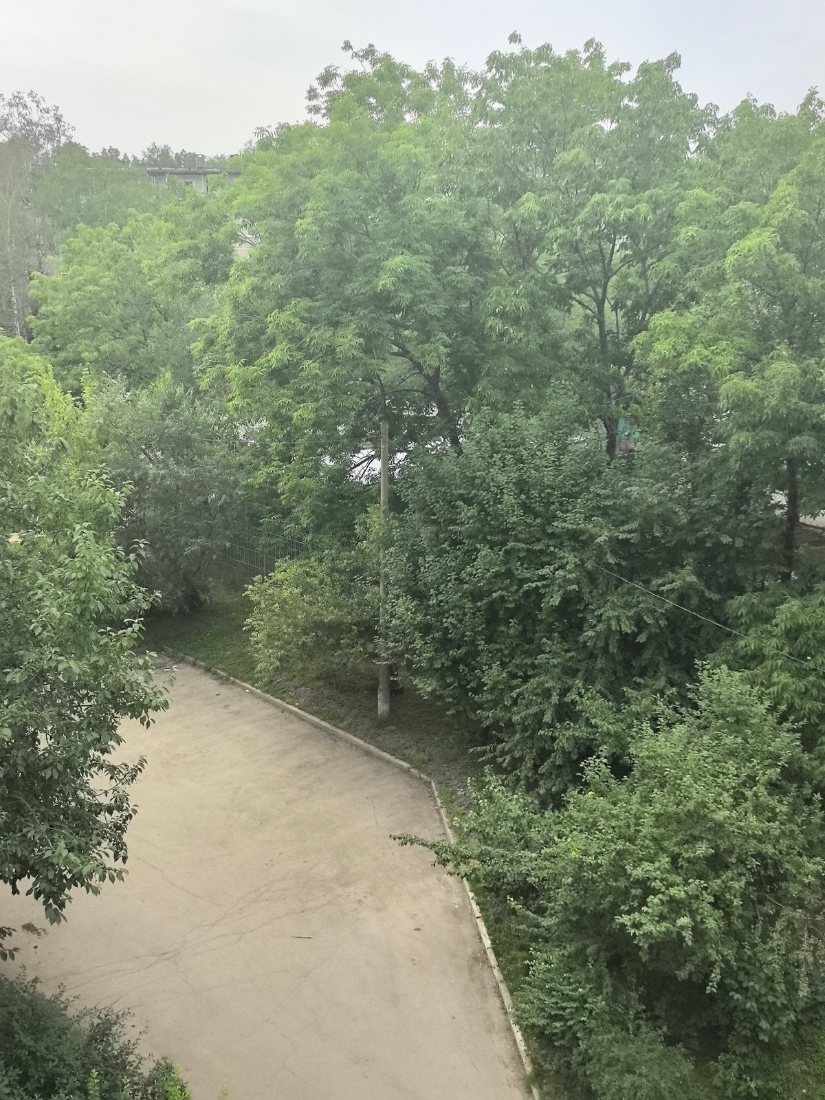 Summer blooms and garden finds along a Khabarovsk path