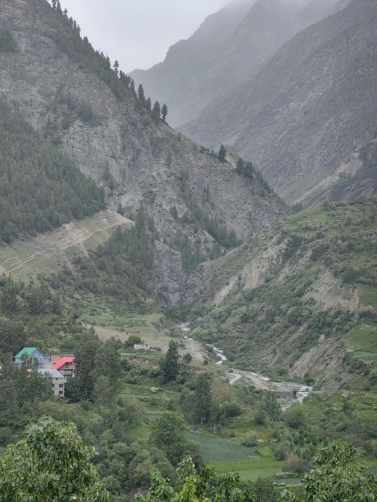 Misty morning in the Shansha valley, tea included