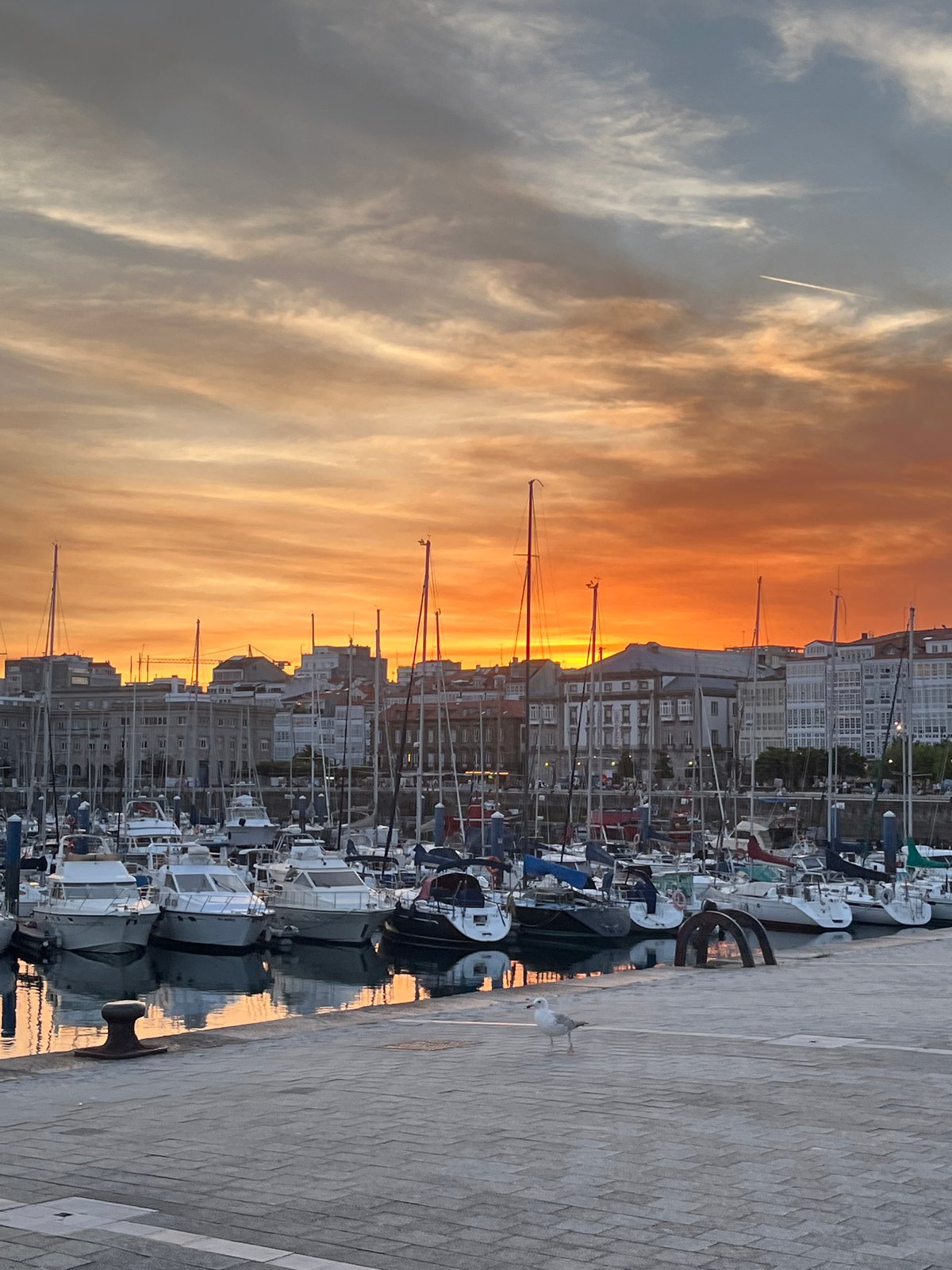 Spectacular sunset illuminates A Coruña marina and waterfront