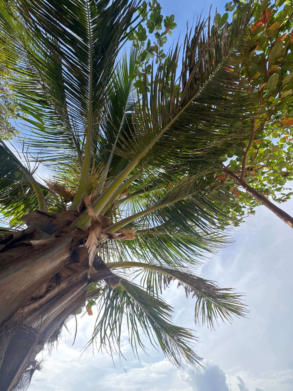 A lazy morning on Ko Pha-ngan's rocky, wave-swept shore