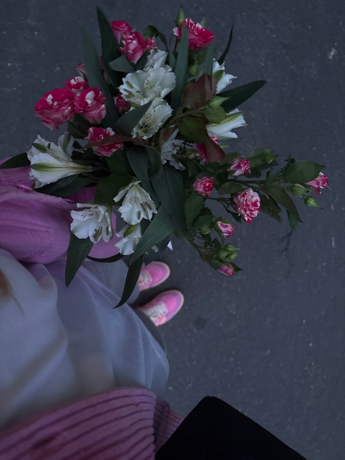 Evening moments captured across Minsk: flowers and sunset traffic