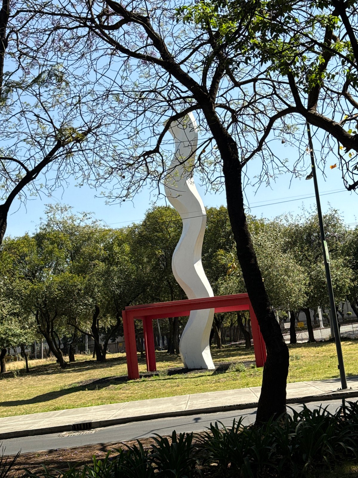 Woman films car selfie video in Mexico City park