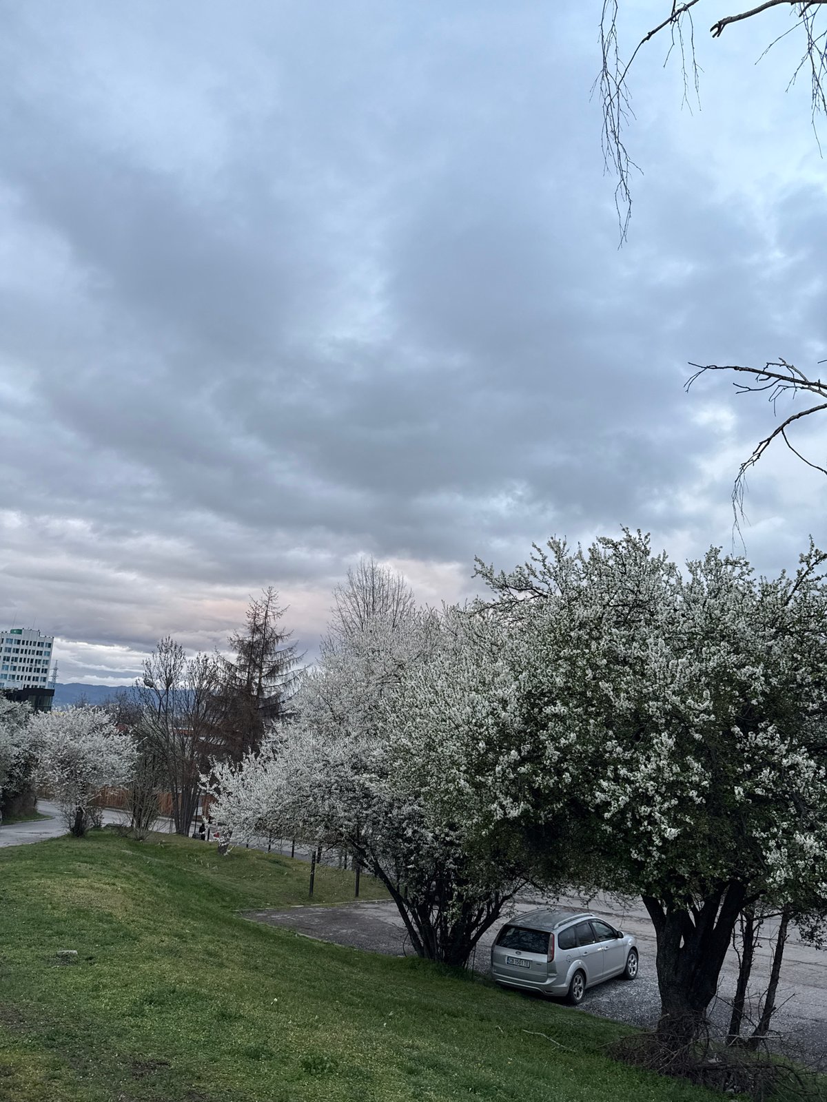 Sofia resident enjoys spring meal preparation and outdoor dining