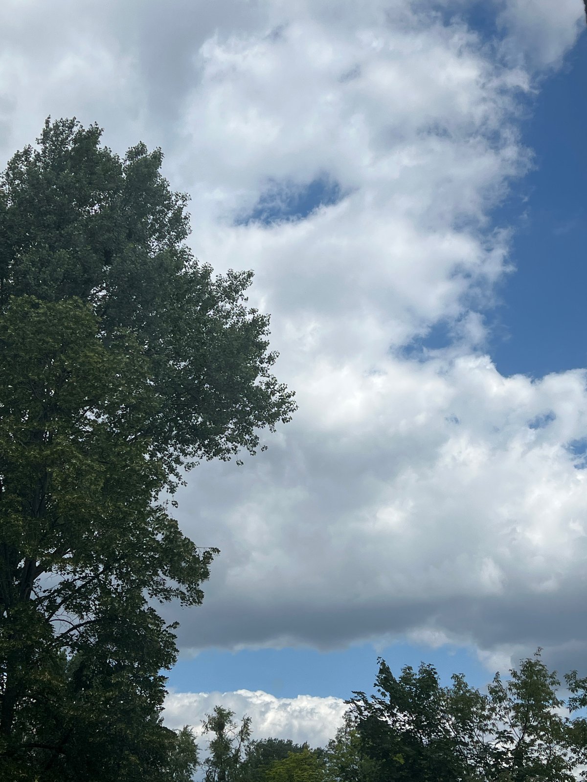Summer skies over Warsaw, shot from under the trees