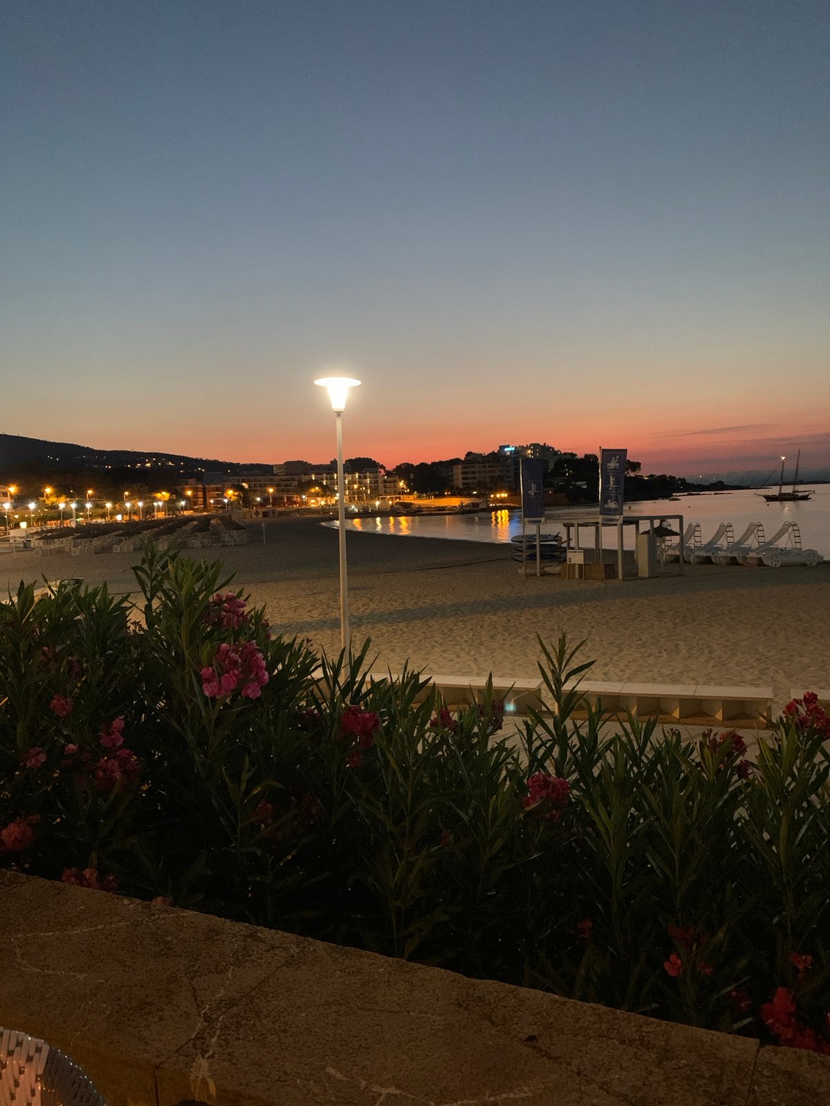 Sunset scenes and a resting cat along Palmanova's beachfront