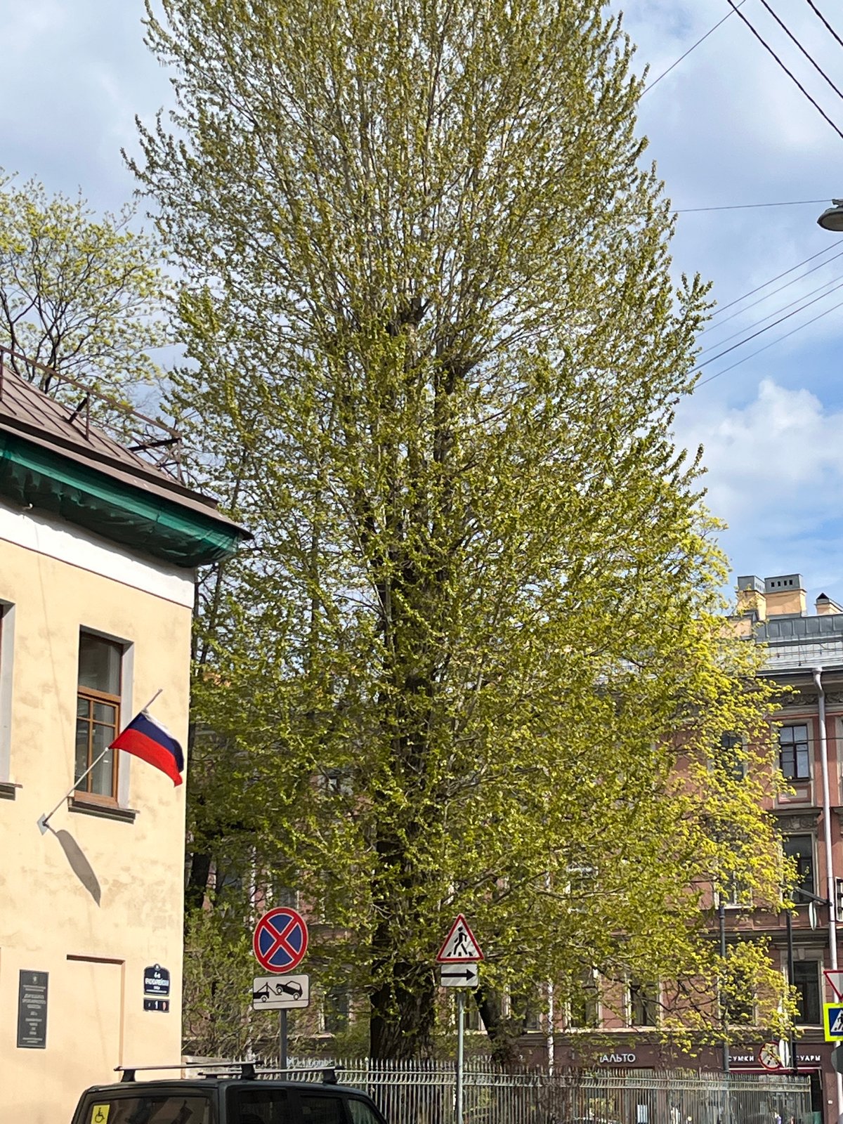 Spring morning walkabout captures Saint Petersburg's streets and architecture