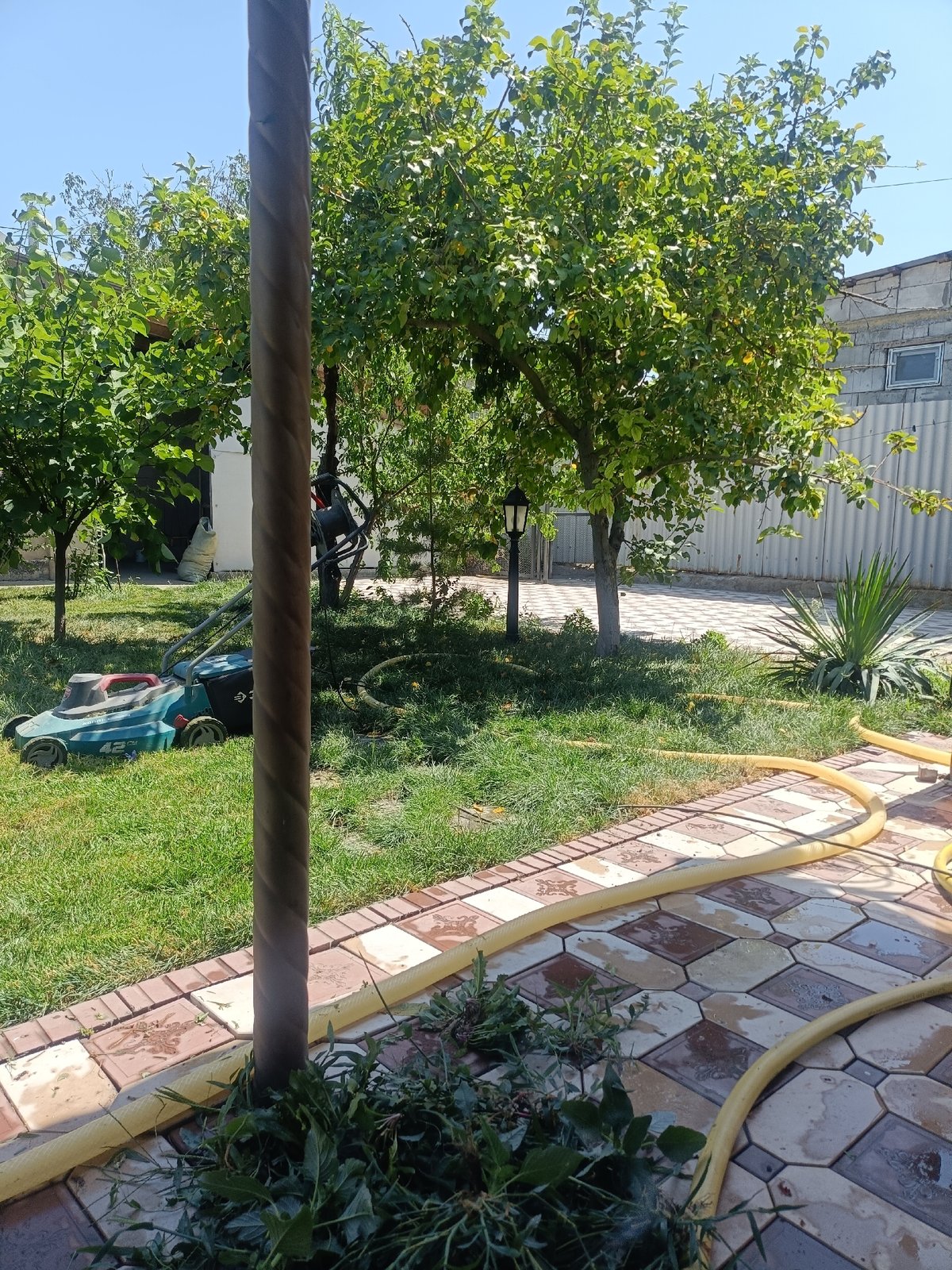 Backyard mowing session, garden details, and pets at rest