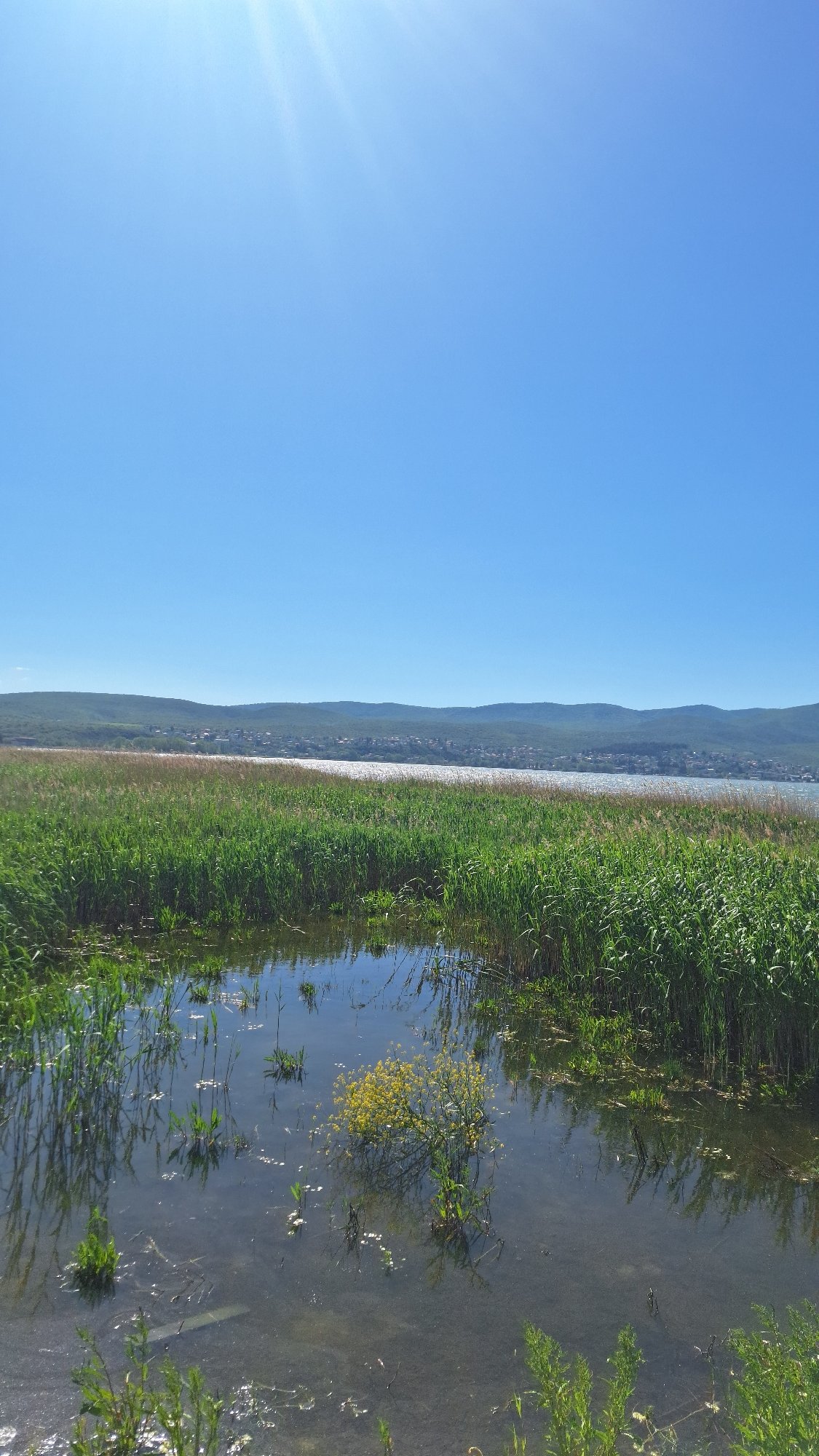 Spring day documented at Lake Doirani, Greece wetlands