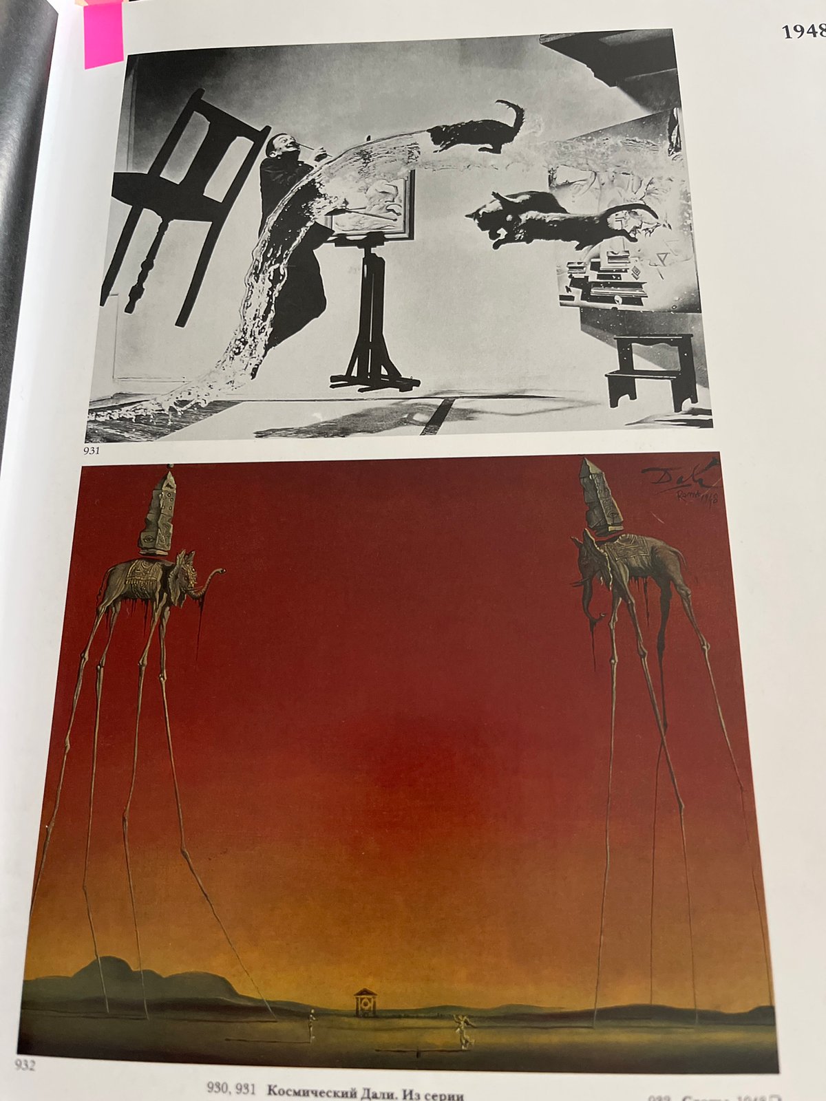 Morning documentation session captures portraits, pets, skies, art books