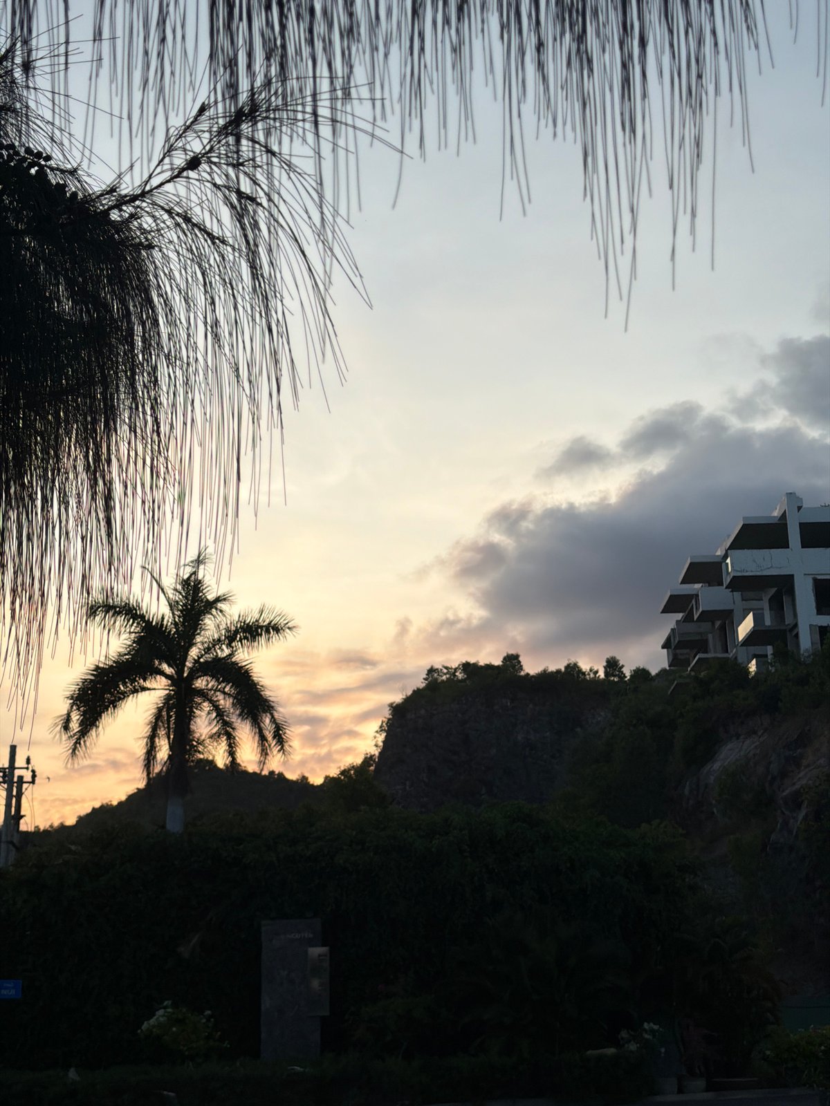 Palm tree silhouetted against colorful sky in Nha Trang