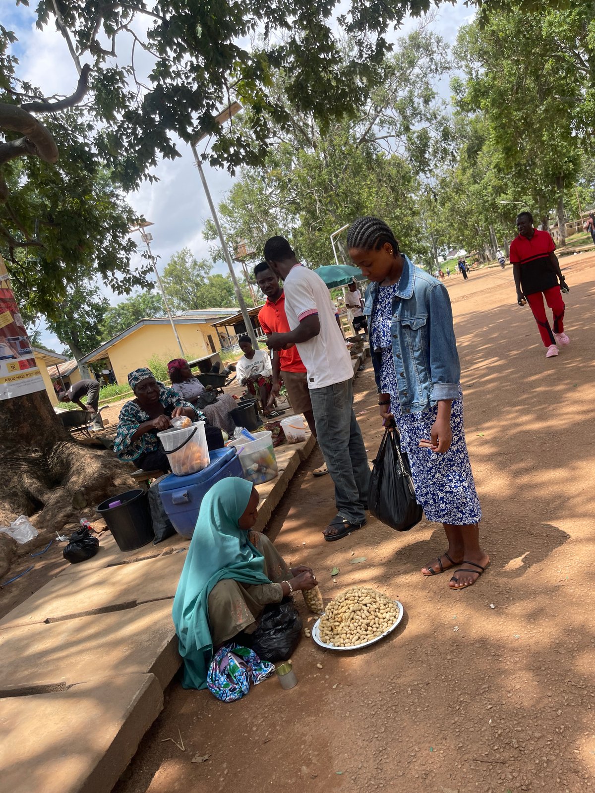 Everyday life in Rafin Par: markets, crops, and water collection