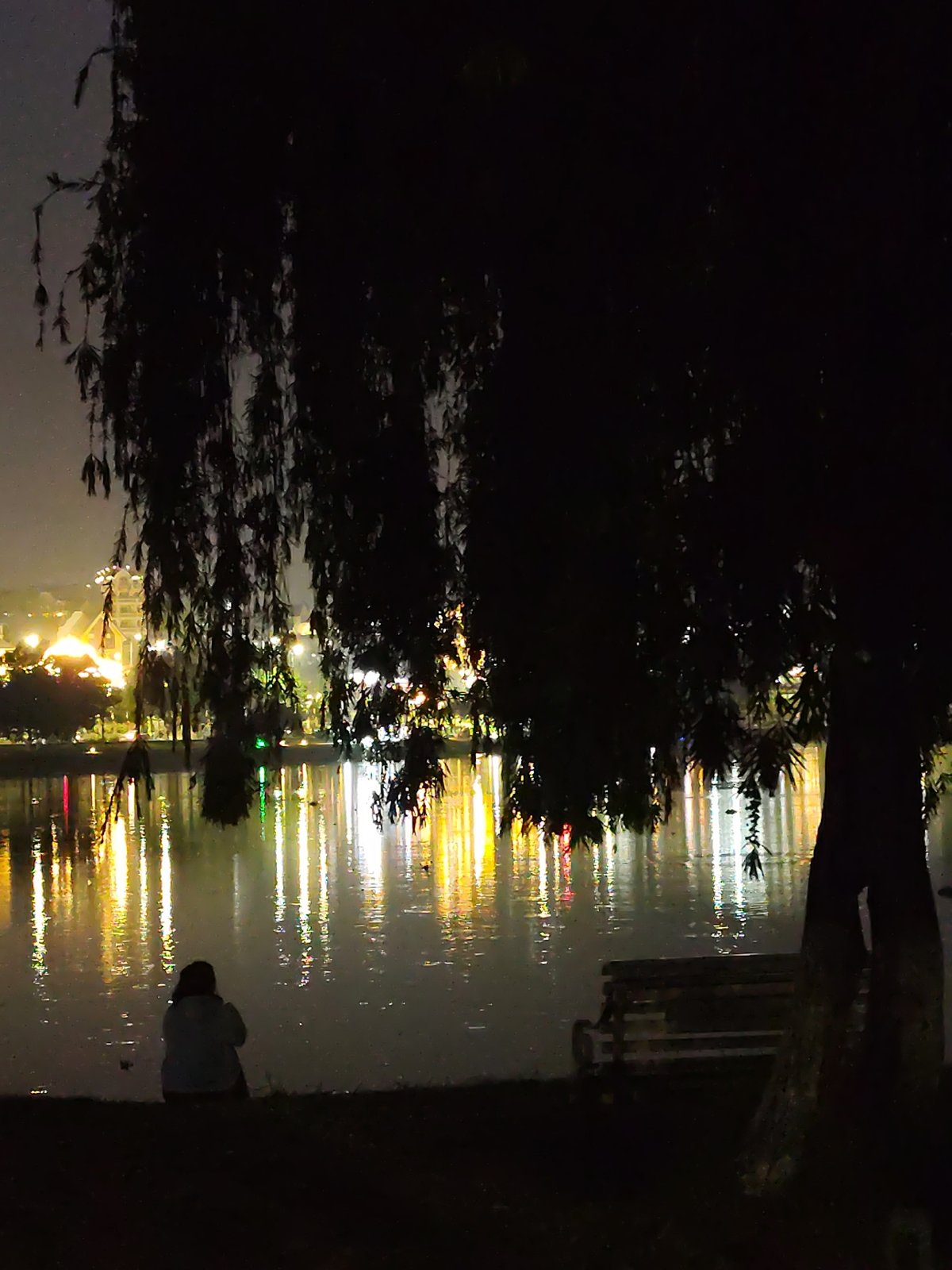 Evening lights illuminate tree and lakeside in Da Lat