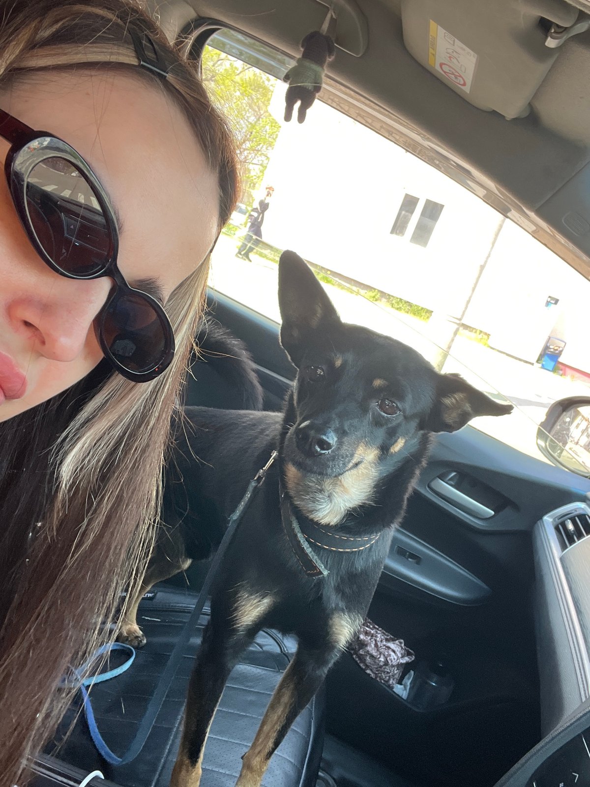 Woman Takes Car Selfies with Dog During Early Morning