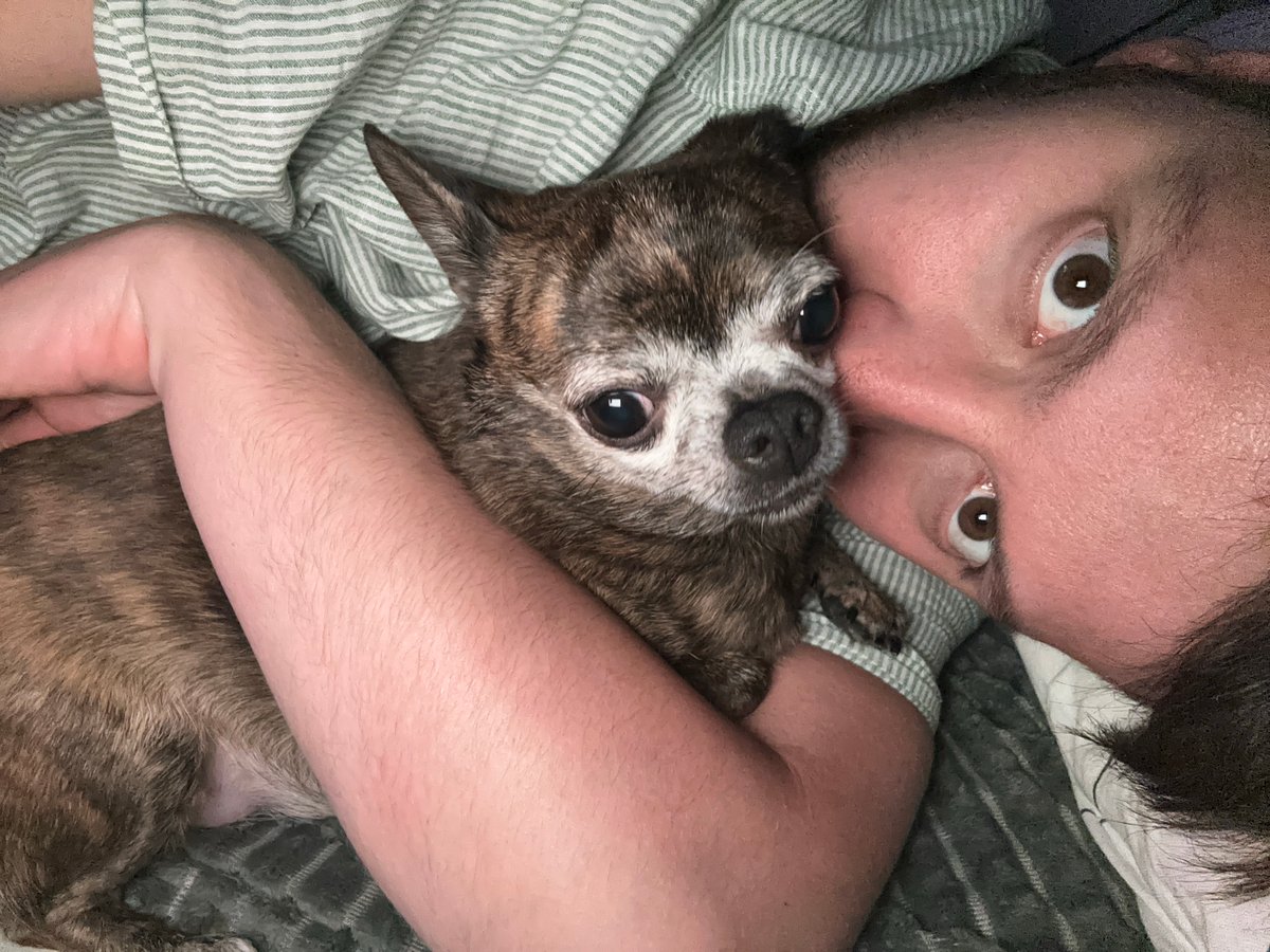Late night selfies with chihuahua in Mirny, Russia