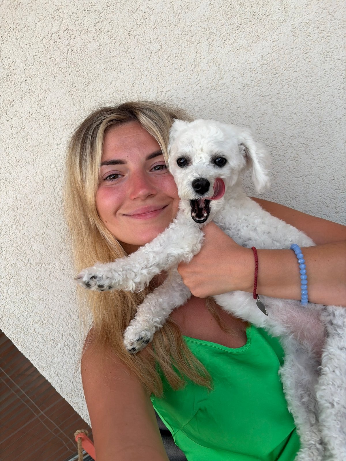 Poodle gets showered with affection on a Budva evening