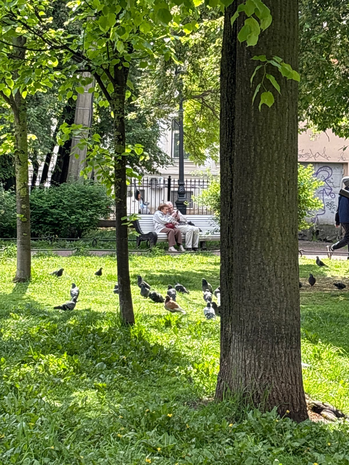 Two people rest on bench amid pigeons in St. Petersburg park