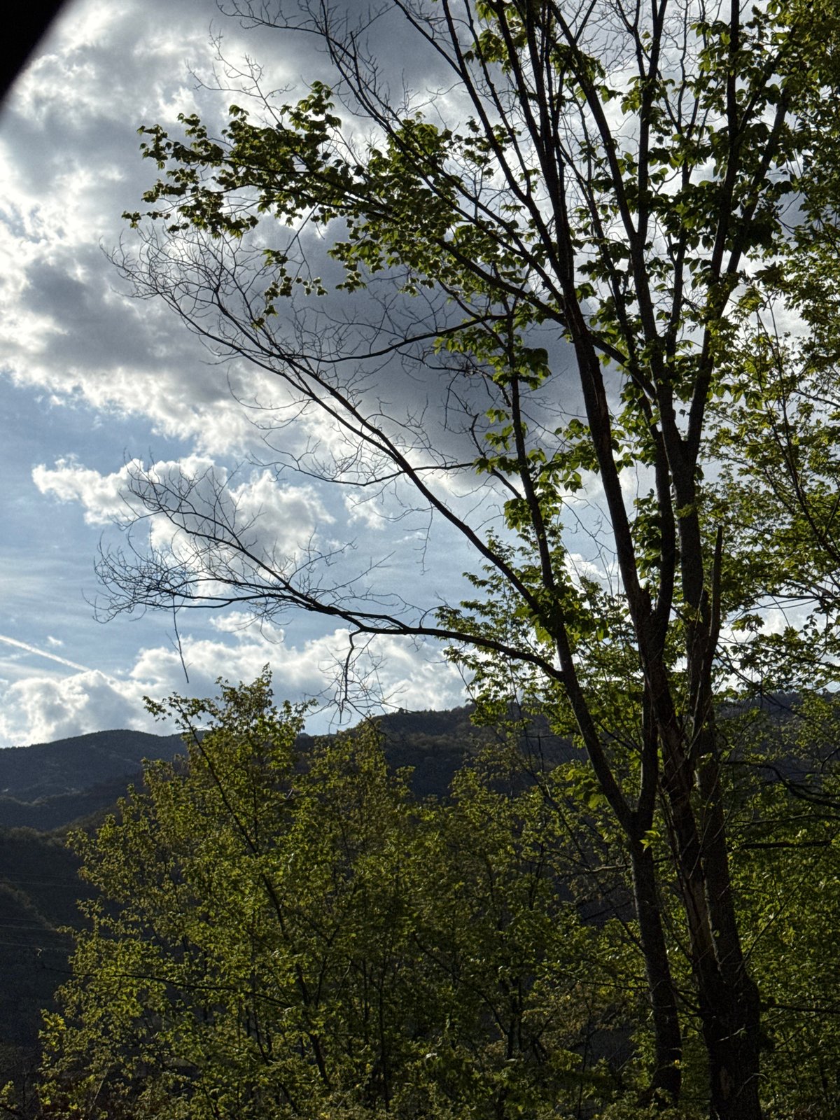 Bulgarian dam and mountain landscape documented in Mihalkovo