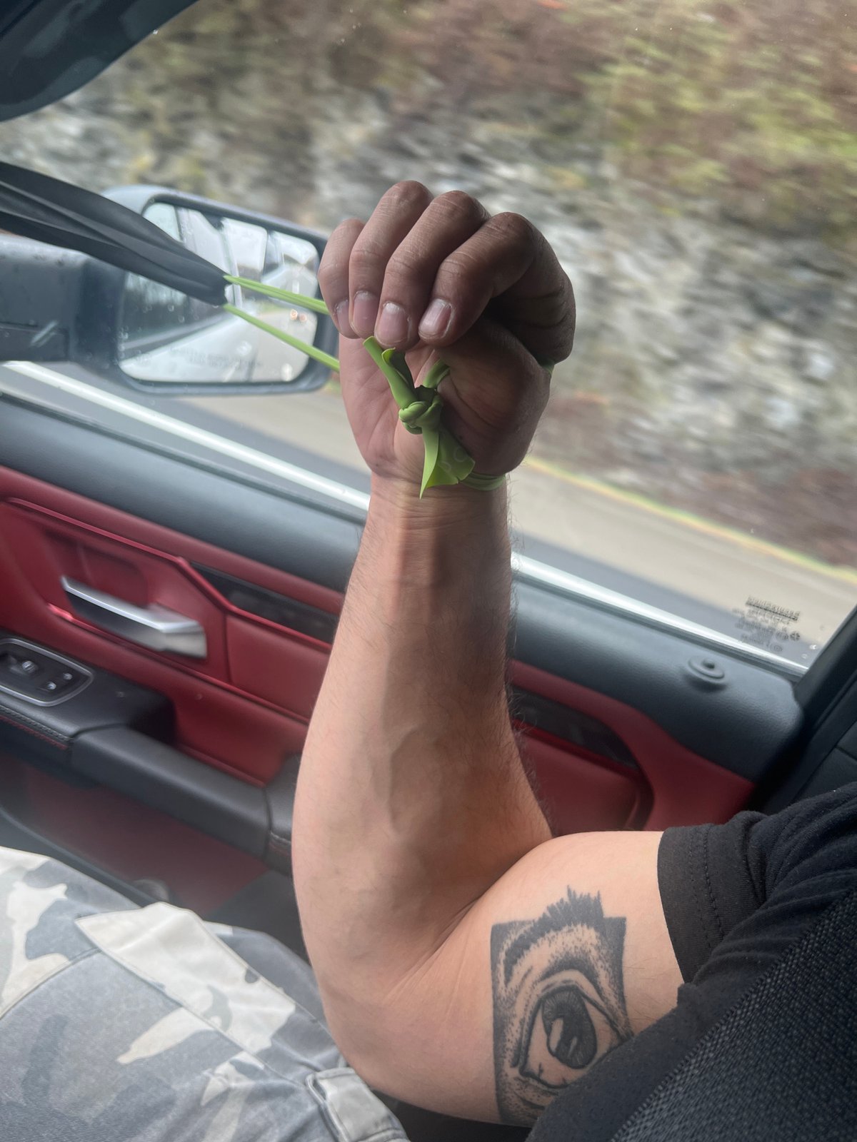 Person with tattoo holds green objects inside moving vehicle