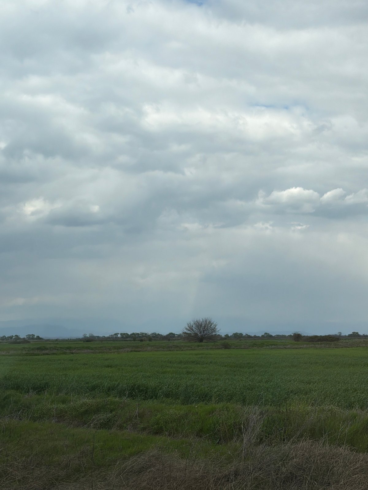 Overcast skies observed over rural Tsalapitsa, Bulgaria countryside