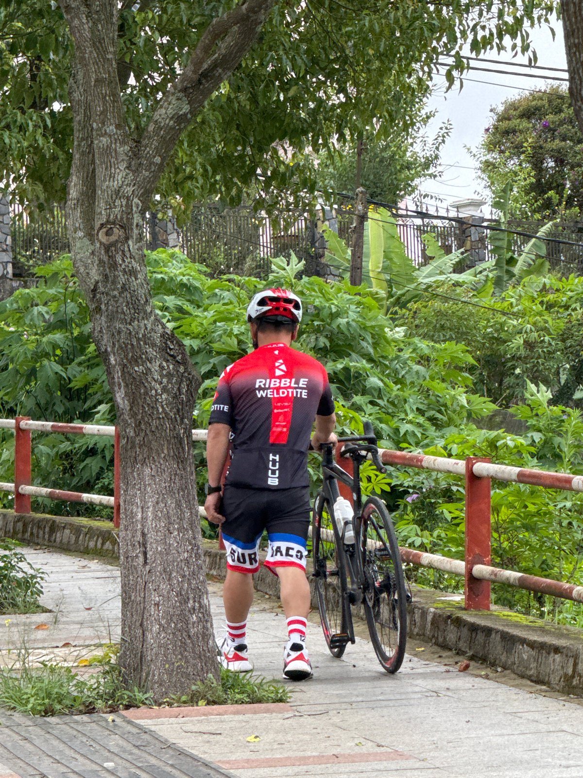 Cyclist observed on Đà Lạt sidewalk during overcast morning