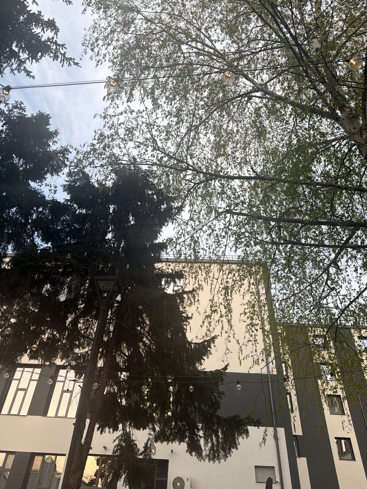 Spring foliage and string lights captured beneath building in Plovdiv
