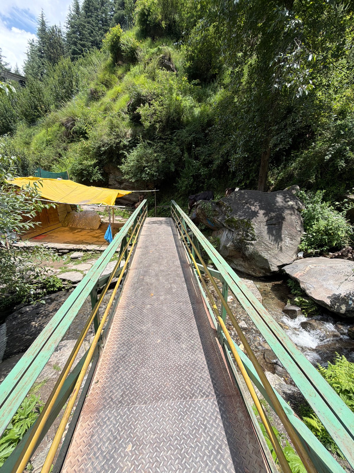 Forest trail hike through Bahang's pine valleys and waterfalls