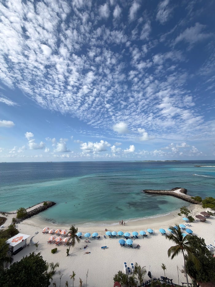 Everyday beach life and wildlife captured on Maldives island