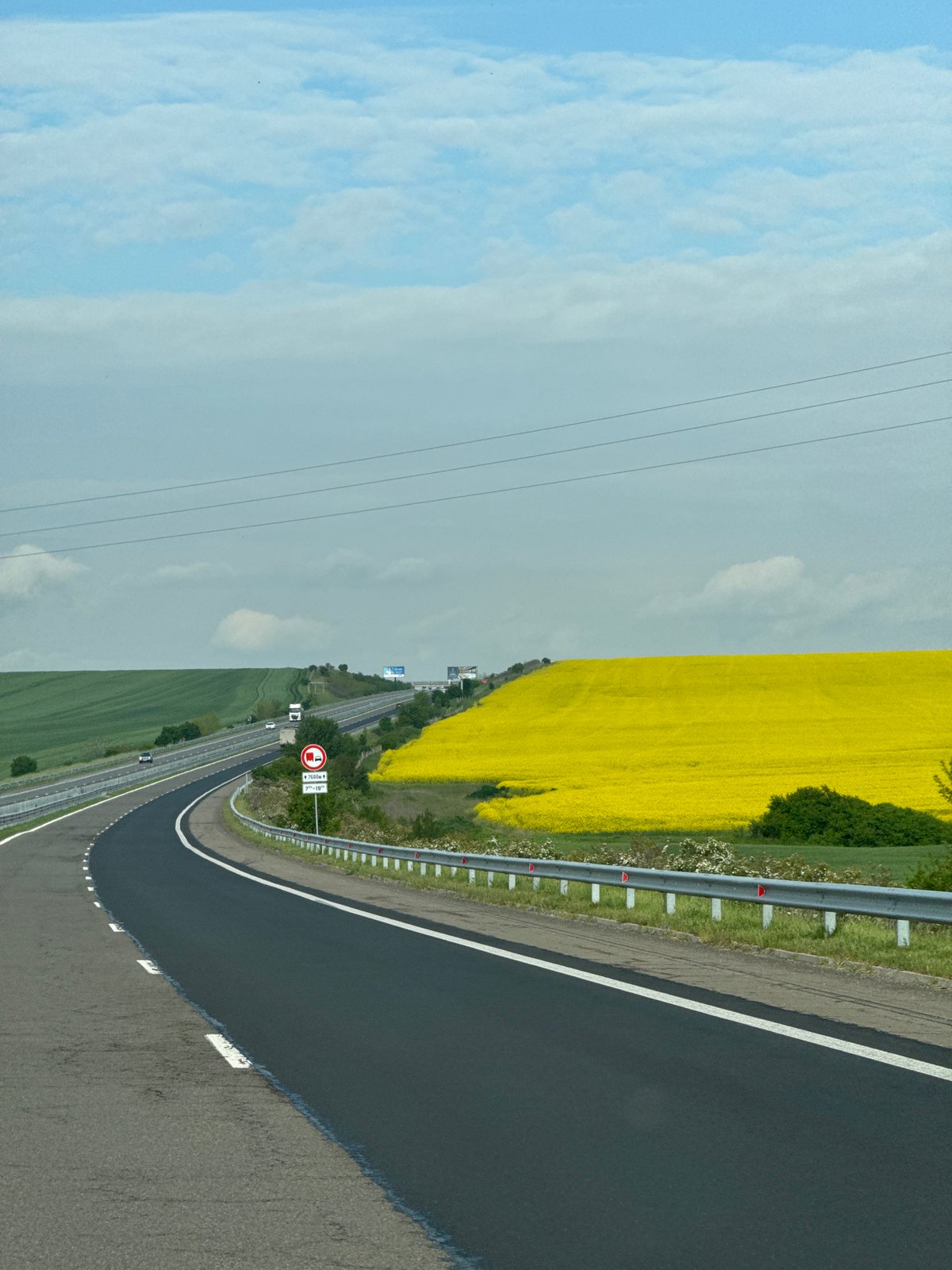 Silver car travels highway past yellow flowers near Troyanovo
