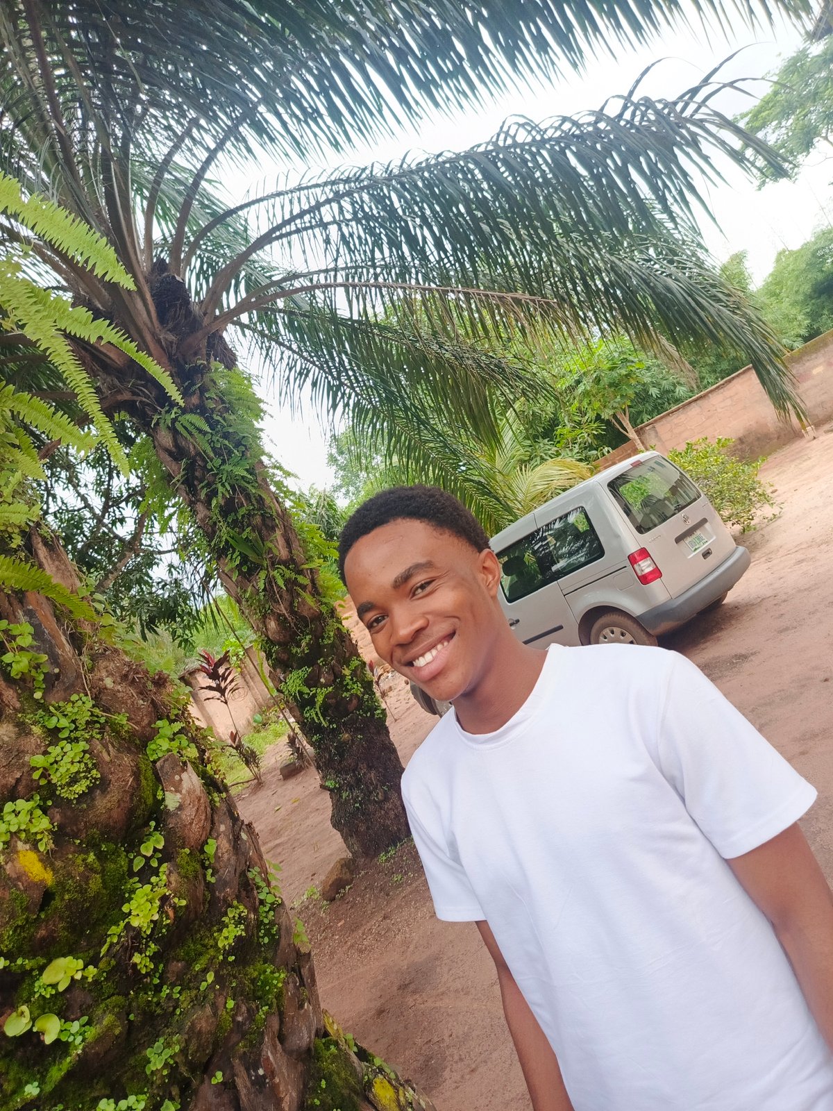 Afternoon snapshots around a school and palm trees in Amurie, Nigeria