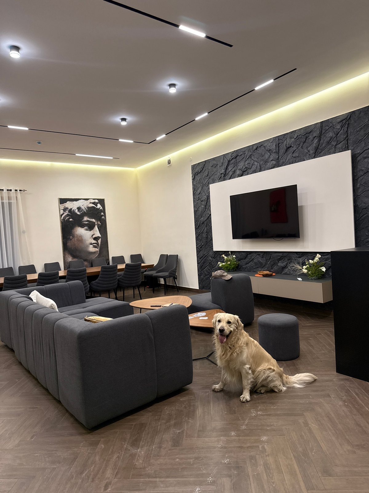 Residential scenes documented in Yerevan including interior, architecture, pet