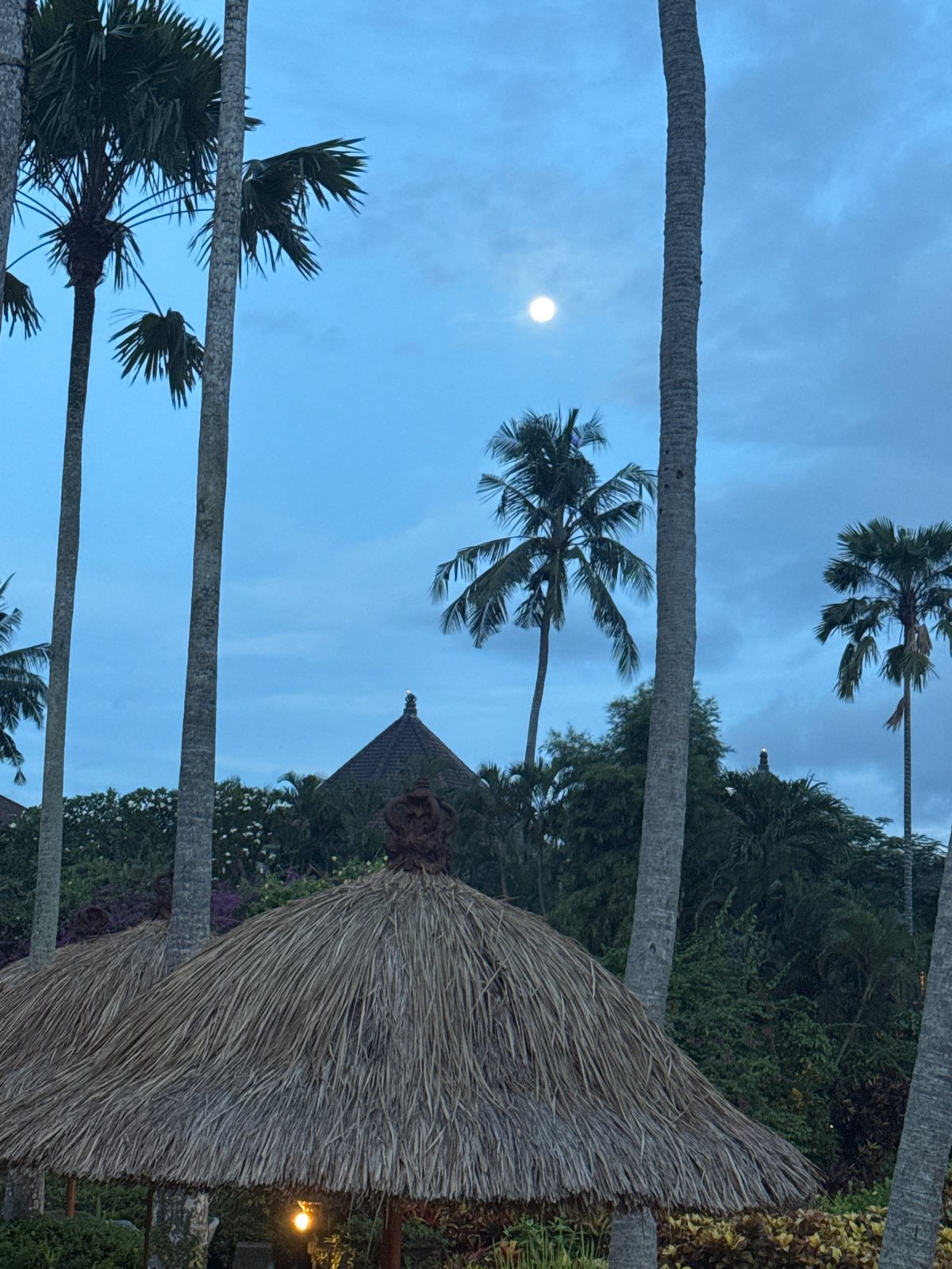 Tranquil evening documented in Blahbatuh, Indonesia
