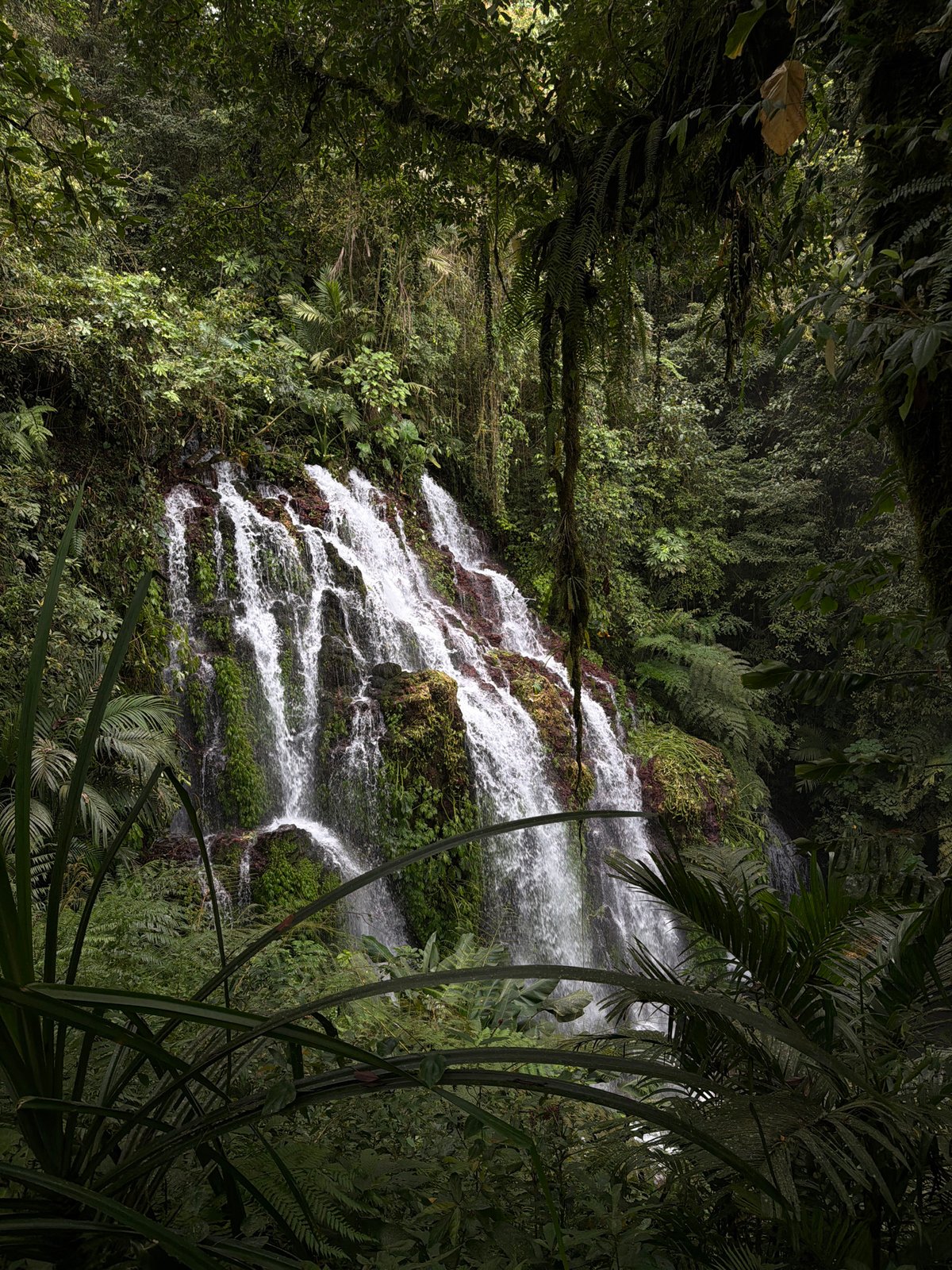 Tropical waterfall documented in Sukasada rainforest, Indonesia