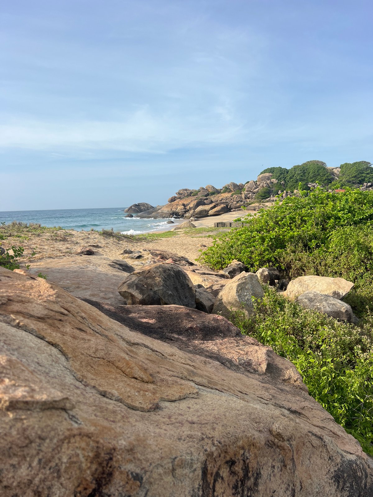 Coastal road trip with surfboard transport and beach exploration