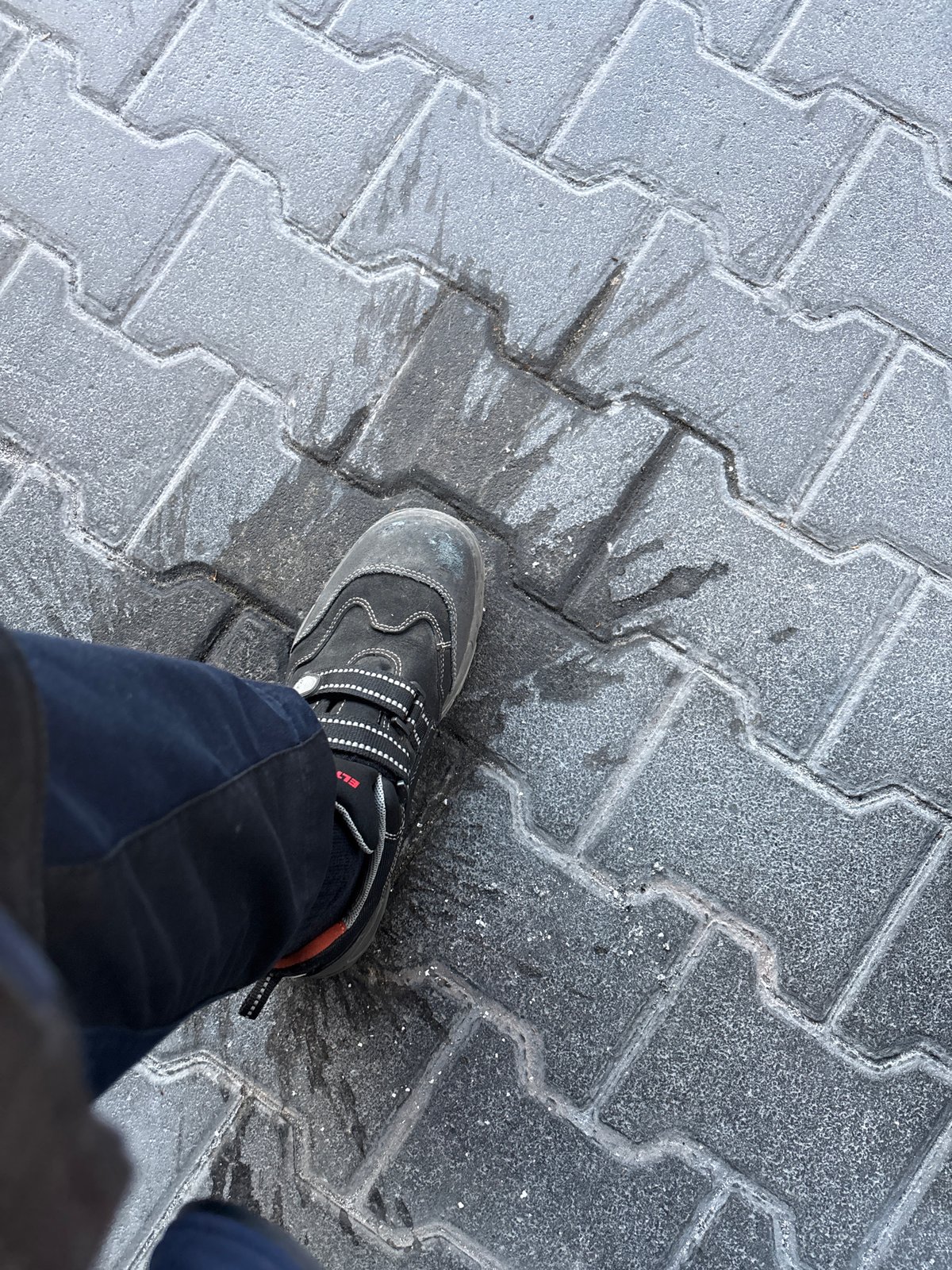Ground-level moments at a Mannheim loading dock, August 2026