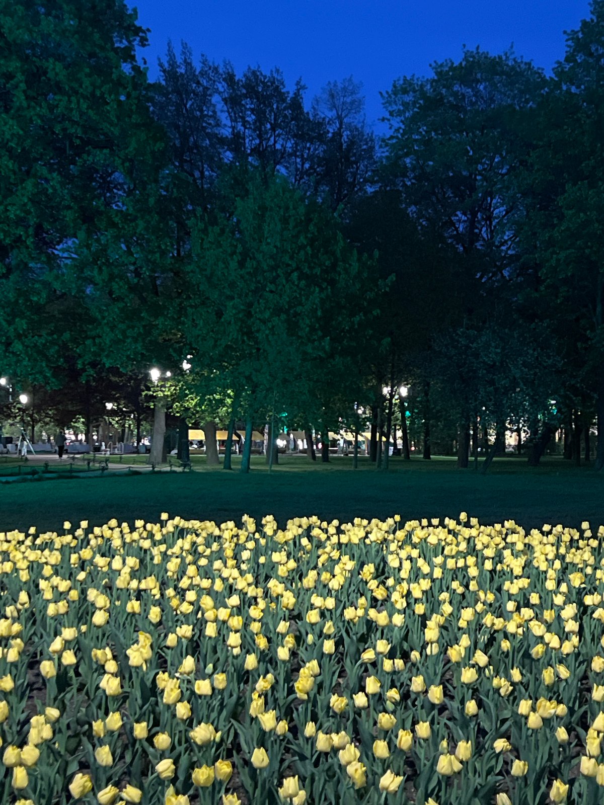 Evening strolls and street music captured across Saint Petersburg