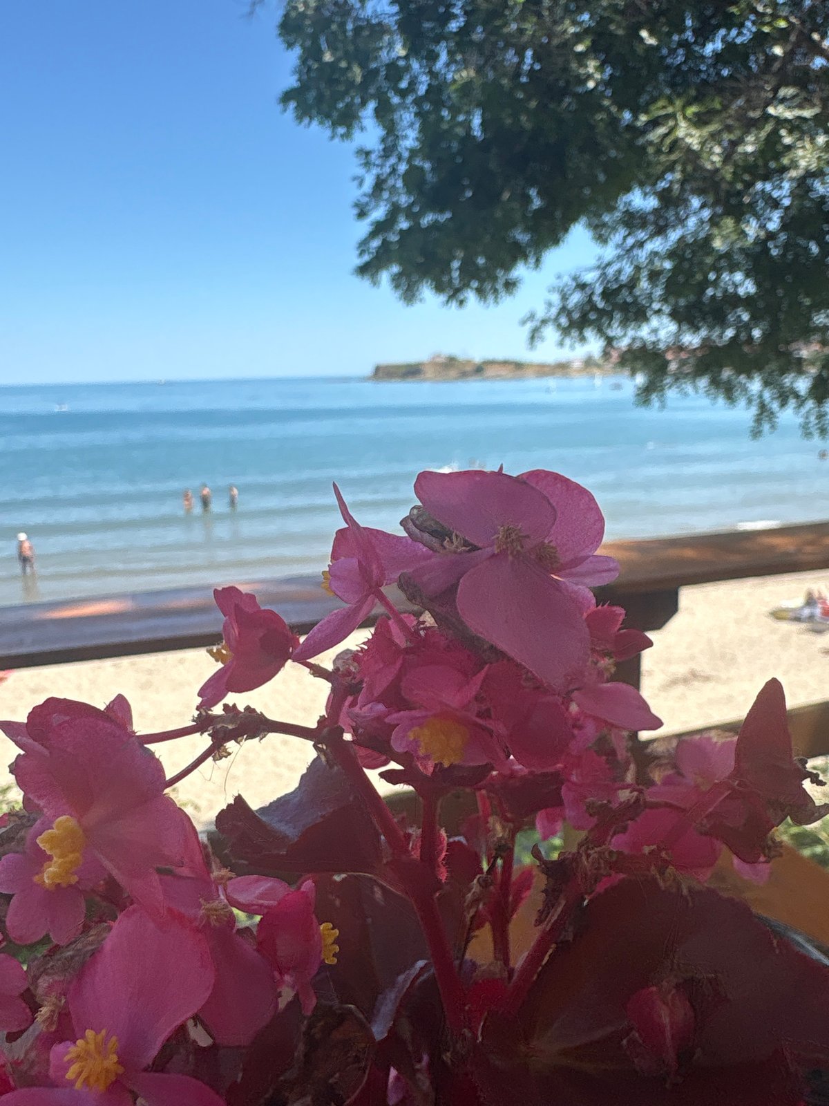 Lazy summer morning at Tsarevo's beach and harbor
