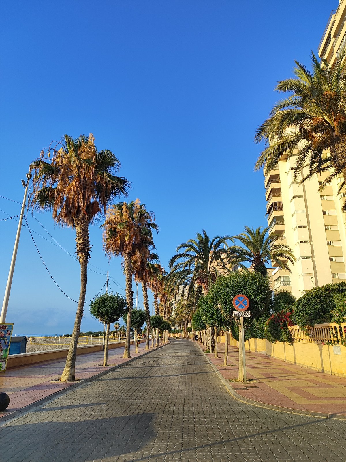 Early morning calm on El Campello's palm-lined Mediterranean seafront