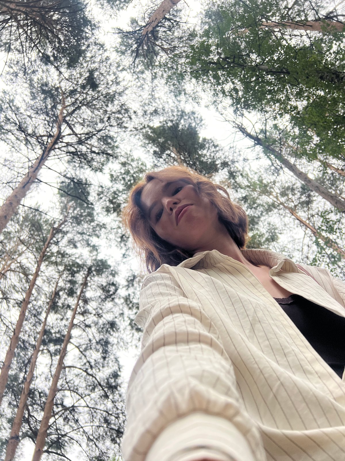 Forest paths, flowers, and a work site in Chaikovsky