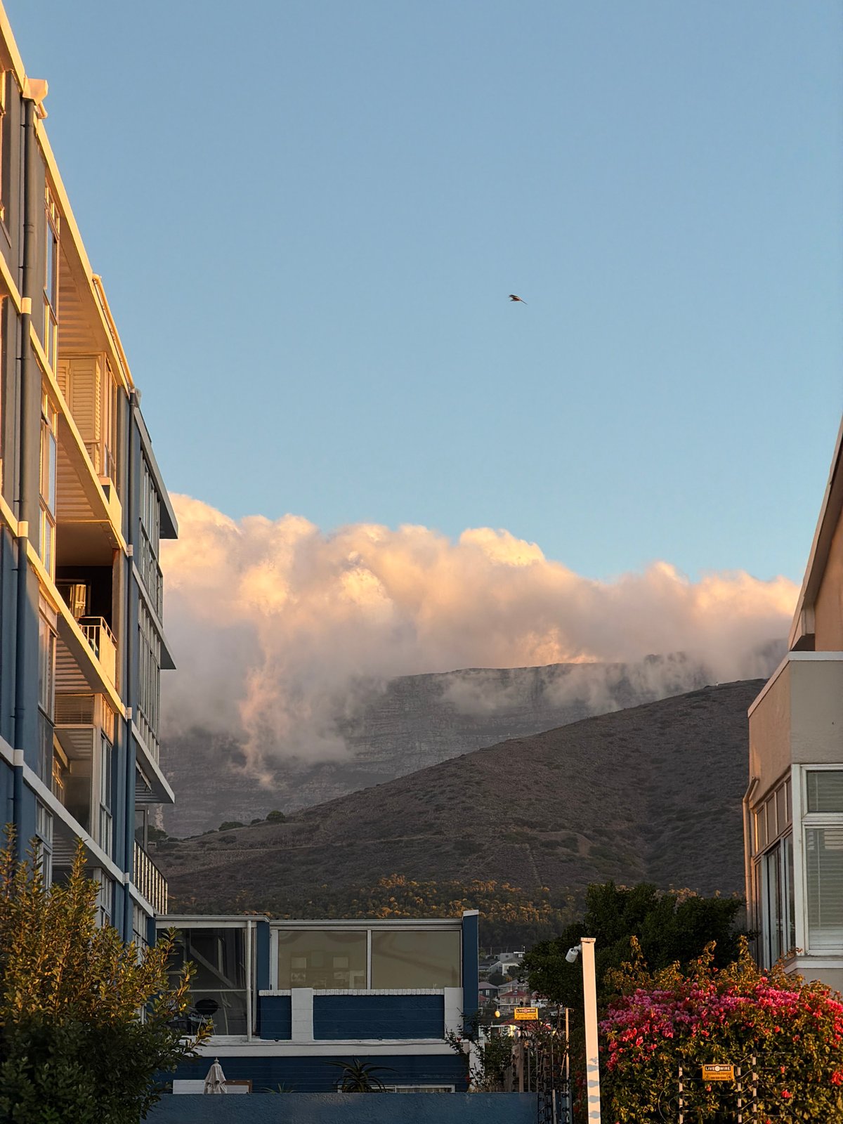 Cape Town coastal scenes captured during golden hour