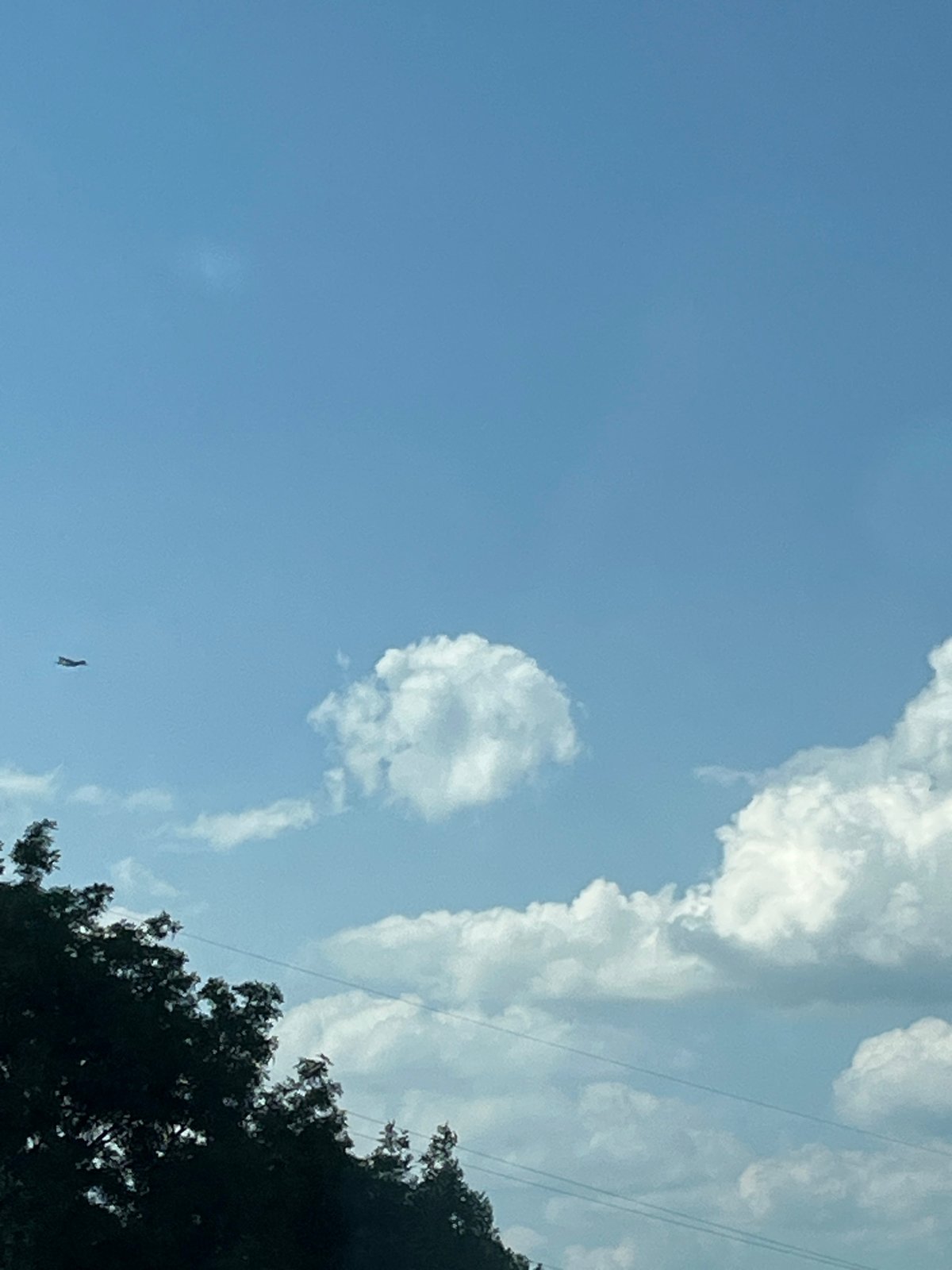 Blue skies, drifting clouds, and a soaring raptor