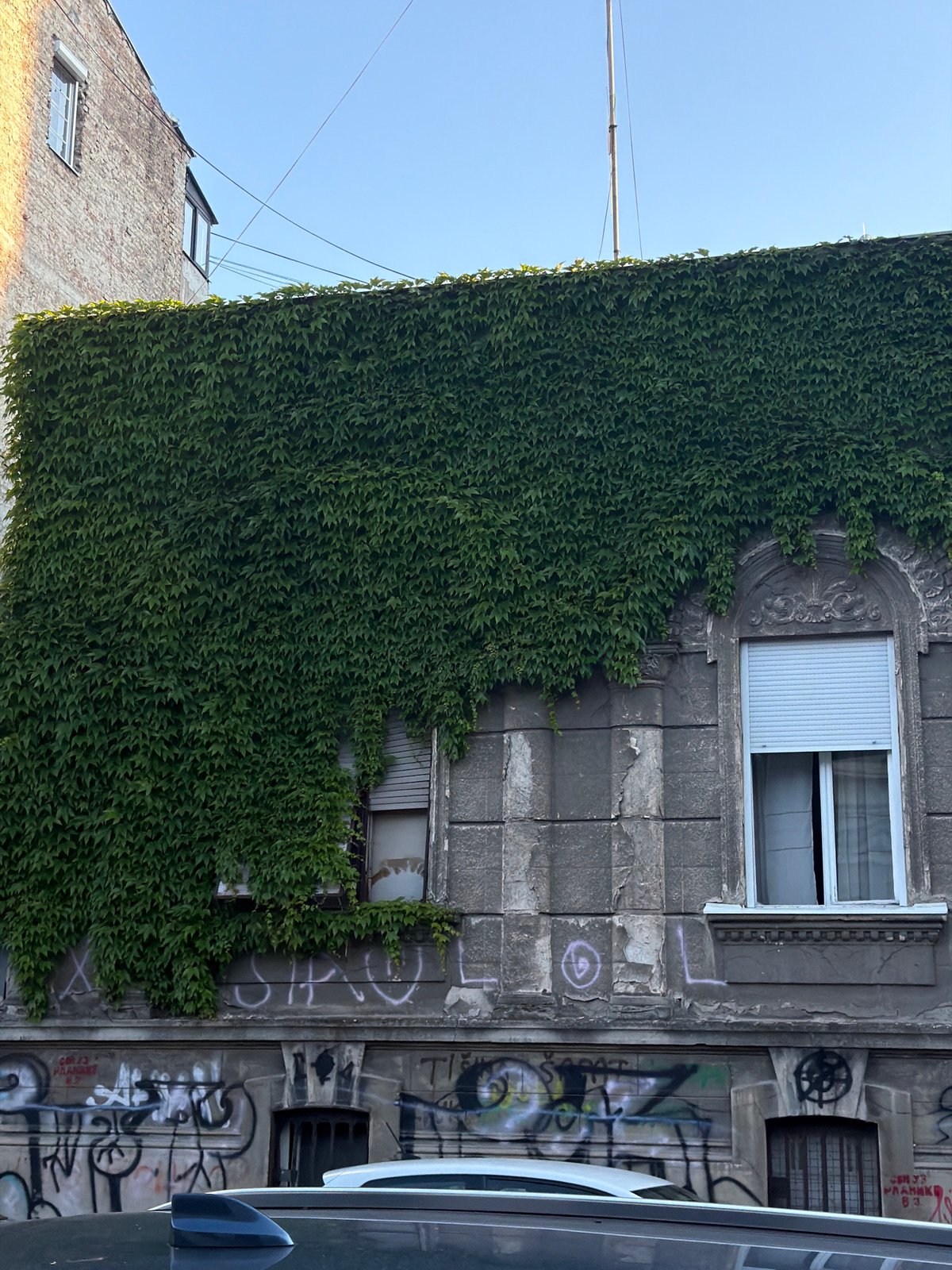 Observer documents ivy-covered buildings and Serbian flags in Belgrade