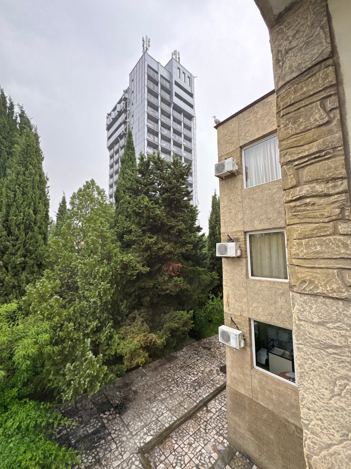Nesebar residential area: high-rise, trees, and street-level buildings
