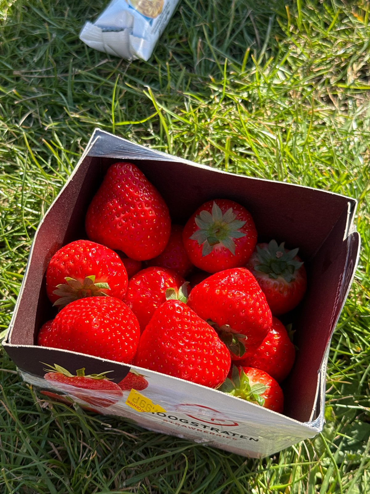 Strawberry box spotted on London grass