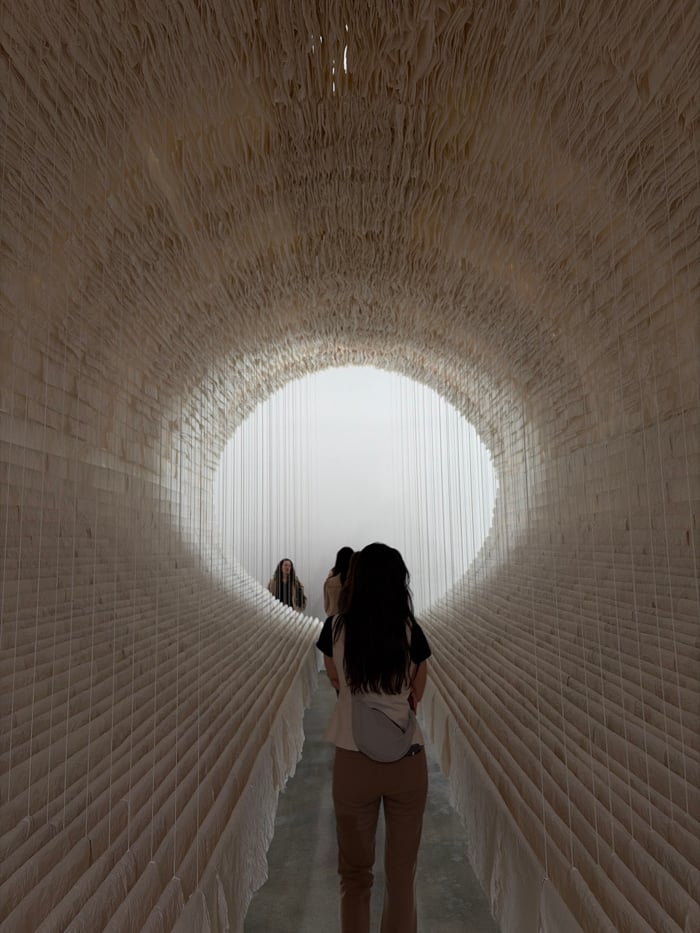 Miami art gallery tour documented across multiple venues