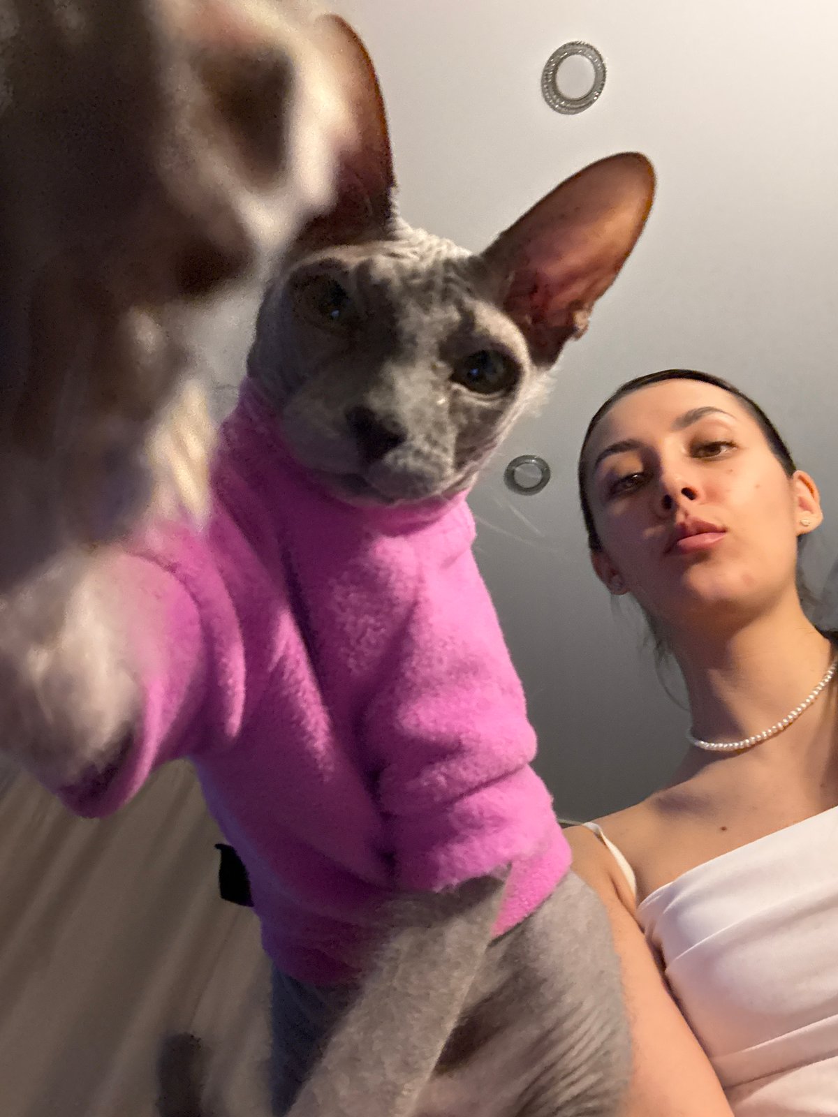 Woman poses with sweater-wearing Sphynx cat in Votkinsk home