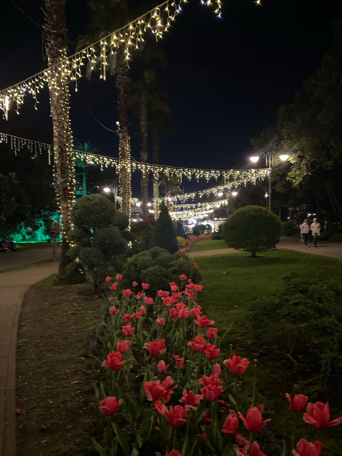Evening scenes captured across illuminated Sochi streets and monuments