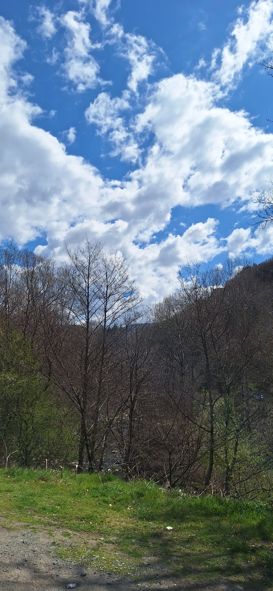 Spring mountain roadside scenery documented in Rila, Bulgaria